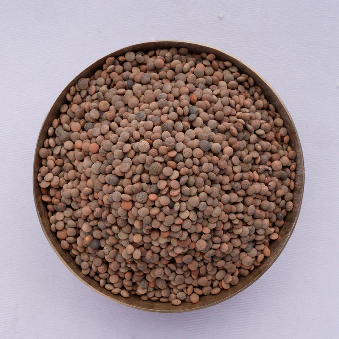 Brown Lentils