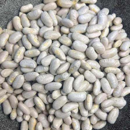 White Kidney Beans